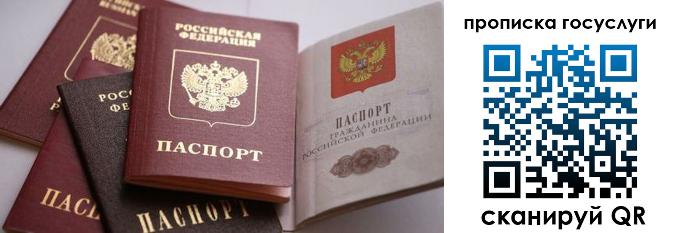 прописка иностранных граждан в Юрьев-Польском